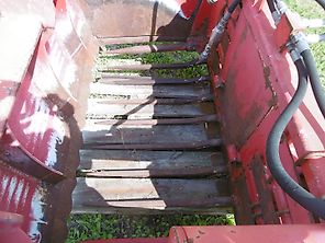 Redrock Alligator 137
