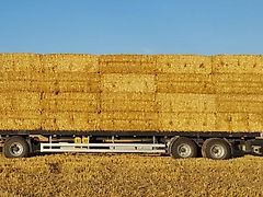 WIELTON PRS 24