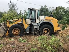 Liebherr L544 [2plus2] - Skrzynia | Kabina | Ramię | Siłowniki - [CZĘŚCI] (Części zamienne)