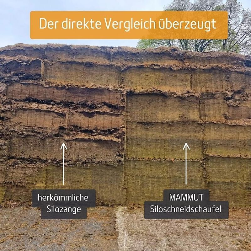 Mammut SB195M