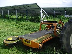 Berti Sichelmulcher/Solarparkmulcher
