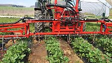 AGRIPP Erdbeergestänge für den Front- oder Heckanbau