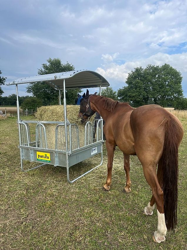 Patura Sicherheits Viereckraufe