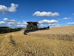 Massey Ferguson IDEAL 8 PL