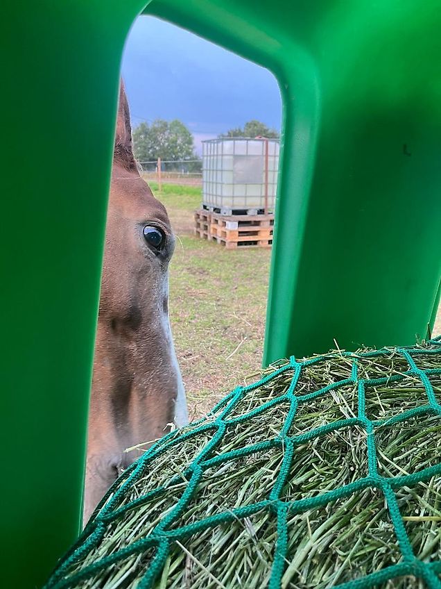 Cosnet RPE KA Futterraufe aus Kunststoff für 1,25 Meter Rundballen