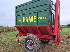 Hawe