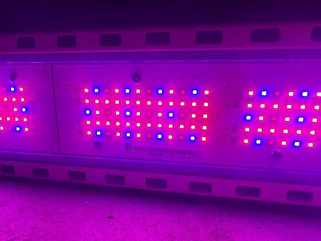 Hortilux HortiLed Top 120v19