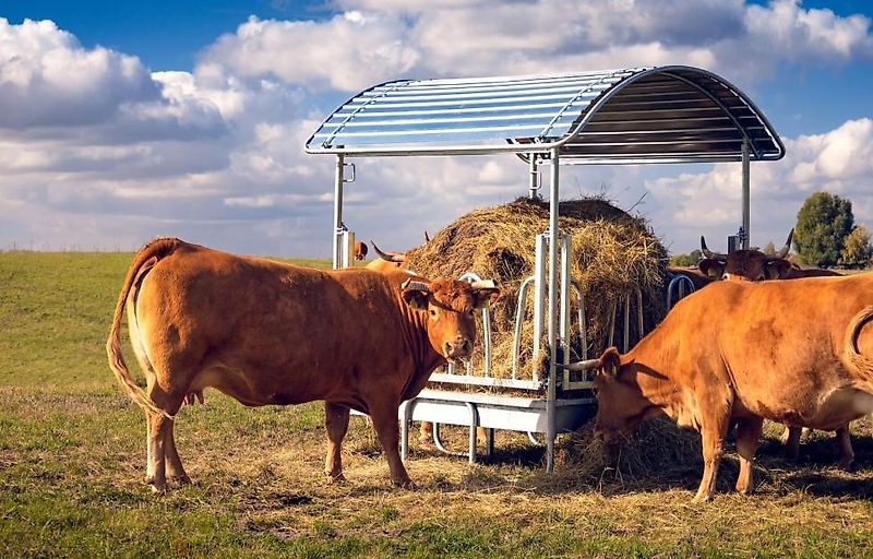 Top-Agro Weide für Vieh und Pferde ab 8 bis 16 Stellen M4 verzinkt RFR-P