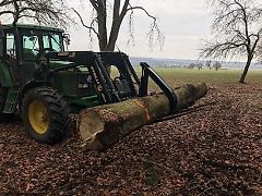 Stammgreifer | Niederhalter | Holzgreifer | Palettengabel | FEM2