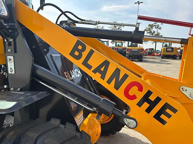 Blanche TW36