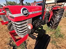 Used Massey Ferguson Massey Ferguson 165 For Sale Tractorpool Com Used Massey Ferguson Massey Ferguson 165 For Sale Tractorpool Com