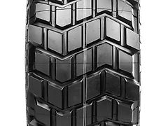 Michelin X 24R20.5 XS 176F