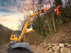 Westtech CS 510 Crane Greifersäge
