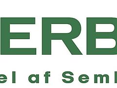 Michelin 420/85R24 600/65R38