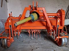 Struik 2RF165