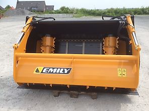 Emily DIS`FIB