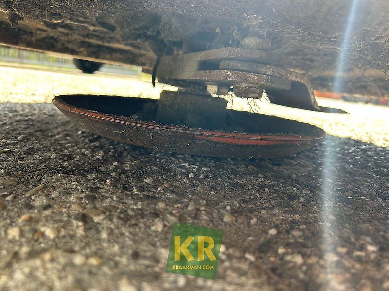 Giant palenmaaier #775371