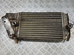 Fendt RADIATOR/RADIATEUR
